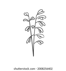 Hand Drawn Botanical Leaf Doodle Wildflower