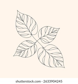 Hand drawn Botanical leaves and Branches, Single Line Art floral drawing of foliage, organic and natural design.