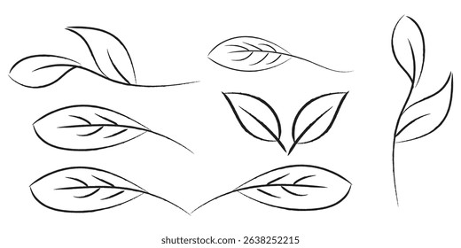 Hand drawn botanical leaves set sketch style vector illustration with nature outline foliage minimal floral design elements isolated on white background.