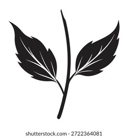 Ilustración vectorial de hojas botánicas dibujadas a mano para tarjeta de felicitación y cartel de invitación floral