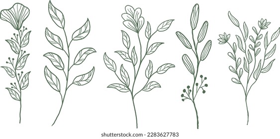 Hand Drawn Botanical Line Art, Minimal Line Art