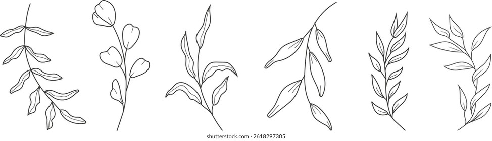 Hand drawn botanical line art illustration of eucalyptus branches and herbs. Minimalist vector floral clipart set for natural, elegant, and decorative design projects.