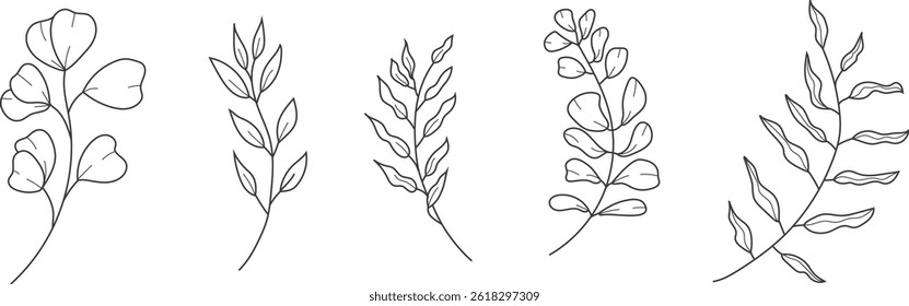 Hand drawn botanical line art illustration of eucalyptus branches and herbs. Minimalist vector floral clipart set for natural, elegant, and decorative design projects.