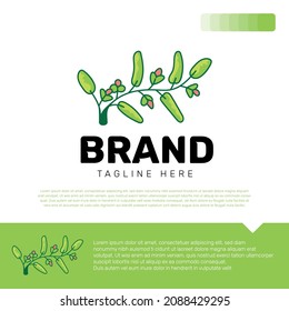 Hand Drawn Botanical Logo Design Template Vector Illustration