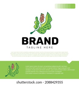 Ilustración del vector de plantillas de diseño de logotipo botánico dibujado a mano