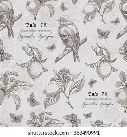 Hand drawn botanical pattern in vintage style.Vector pattern with bird, lemon branches,apple, leaves, butterflies. Isolated on vintage background with letters and text.