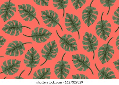 Hand drawn botanical pattern. Botanical wallpaper. Colorful vector.