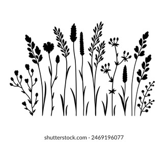 Hand drawn botanical pattern wildflowers set silhouettes, branches, plants and herbs with leaves, blooming flowers, field grass, decoration botanial elements