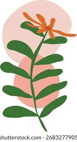 Hand drawn botanical poster background with plant and organic shape, isolated on white background. Vector illustration