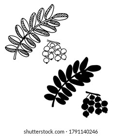 Hand drawn botanical rowan leaf. Leaf silhouette. Line art, doodle, minimalism, modern style, vector floral graphic illustration. 