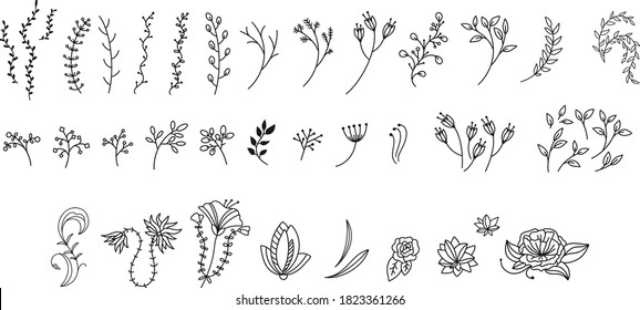 Conjunto Botánico dibujado a mano de elementos de diseño con flores y hojas. Flor Boho simple para el diseño del logotipo, dibujos de Tattoo. Perfecto para invitaciones de boda, tarjetas de felicitación, blogs
