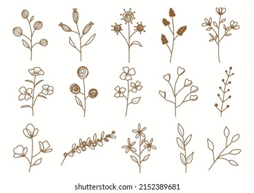 Hand drawn botanical set leaves and flowers for decoration.