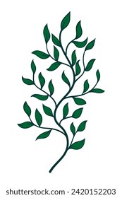 Hand drawn botanical silhouette of branches, flowers and leaves. Vector illustration