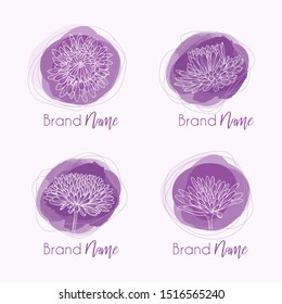 Hand drawn botanical sketch of Aster flowers in logotype design