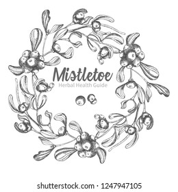 Hand drawn botanical sketch wreath mistletoe branches. Vintage style. Traditional christmas decoration. For design holiday card, invitation, poster, banner. Vector illustration
