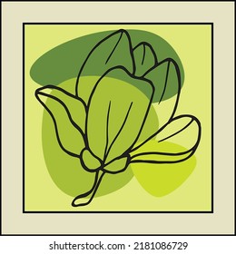 Hand drawn botanical vector art set. Magnolia contour and abstract shape drawing on a color background.Abstract design for wall decoration, posters, covers, prints and wallpapers. Vector illustratin.