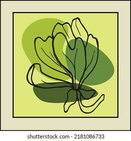 Handgezeichnete botanische Vektorgrafik-Set. Magnolische Kontur und abstrakte Formzeichnung auf Farbhintergrund.Abstraktes Design für Wanddekoration, Poster, Bezüge, Drucke und Tapeten. Vektorgrafik.