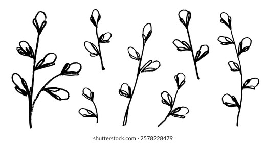 Hand drawn botanical willow twigs set. Ink drawing branches in naive style. Black and white floral elements in grunge style. Vector illustration