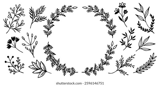 Hand drawn Botanical Wreath and elements vector