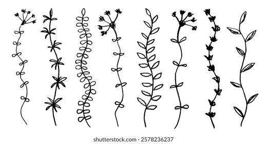 Hand drawn botany elements set. Ink drawing grass, branches with leaves in naive style. Black and white floral elements in grunge style. Vector illustration