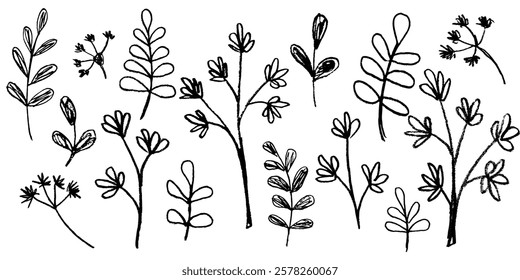 Hand drawn botany elements set. Ink drawing twigs, branches and leaves in naive style. Black and white floral elements in grunge style. Vector illustration