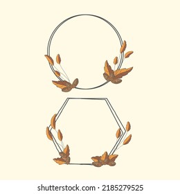 hand drawn botany frames. - Vector.