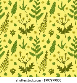 Hand drawn botany seamless pattern with field flowers. Vector illustration