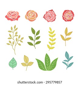 Hand drawn Botany Set of flowers and leaves. Vector design elements
