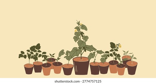 Hand drawn botany vector of bunch of home grown seedlings potted into brown garden ceramic pots. Young sprouts of tomato, cucumber and capsicum or bell pepper. Flat style, natural, earthy tones.