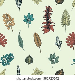 Hand drawn botany vector seamless pattern. Vintage background.