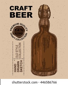 Hand drawn bottle with beer. Alcohol drink sketch vector illustration