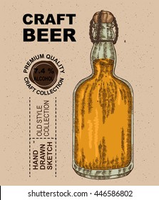 Hand drawn bottle with beer. Alcohol drink sketch vector illustration