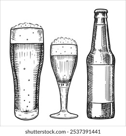 Hand drawn bottle and glasses of beer. Vector illustration