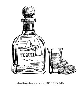 Hand drawn bottle of tequila with a glass and slices of lemon. Vector illustration, ink sketch