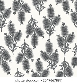 Hand drawn bottlebrush flower seamless pattern. Australian native plant