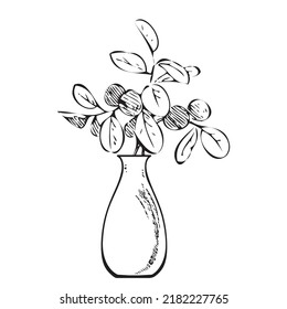 Hand drawn bouquet branches and leaves in vase. Meadow plant engraving sketch garden. Isolated black lines on white background. Vector illustration, greeting card, logo, branding design, poster, print