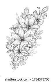 Hand drawn bouquet with flowers and different leaves isolated on white. Vector monochrome elegant floral composition in vintage style, t-shirt, tattoo design, coloring page, wedding decoration.