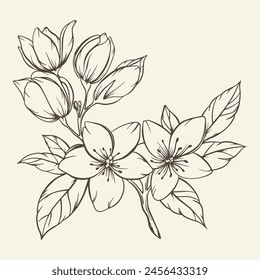 Ramo dibujado a mano con flores y hojas. Vector lineal monocromo elegante arreglo floral en estilo vintage, diseño de tatuajes, libro para colorear, decoración de bodas.