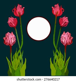 Hand drawn bouquet of  pink tulip with place for text. It can  be used as greeting card, invitation card for wedding, birthday and other holiday and floral background.