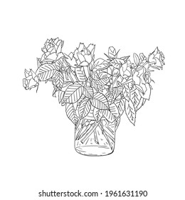 Hand drawn bouquet of rose flowers. Vector illustration. Floral design element. Coloring book page.