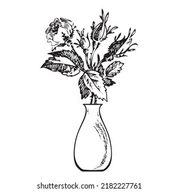 Hand drawn bouquet rose in vase. Flower, rosebud, branches, leaves engraving sketch. Isolated black lines on white background. Vector illustration, greeting card, logo, branding design, poster, print