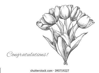 Hand drawn bouquet of tulips. Sketch elegant  illustration of flowers. Stylish design template for greeting card, invitation, banner, poster with draw a pencil spring flowers on a white background.