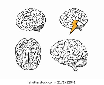 El cerebro humano. Estilo de esbozo realista de color negro dibujado a mano. Arte vectorial.