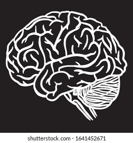 Hand Drawn Brain Isolated on White Background. Vector illustration. digital printing.