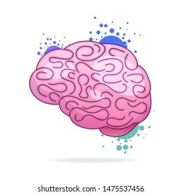 Hand Drawn Brain Vector. Logo Isolated On Colorful Watercolor Paint Splashes.Design For Business Cards, Applications And Websites. Illustration Isolated On White Background