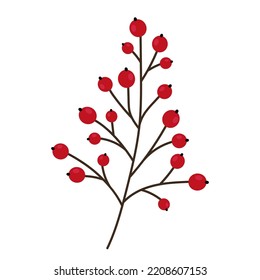 Rama dibujada a mano con bayas aisladas de fondo blanco. Dibujo decorativo del dibujo del doodle. Vector.