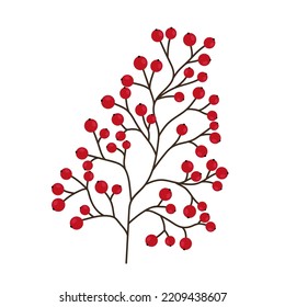 Hand drawn branch with berries isolated on white background. Decorative doodle sketch illustration. Vector element.