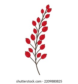 Hand drawn branch with berries isolated on white background. Decorative doodle sketch illustration. Vector element.