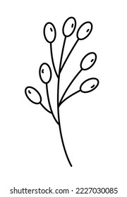 Hand drawn Branch with berries outline vector icon. Thin black line flat simple element illustration from editable nature concept isolated stroke on white background.