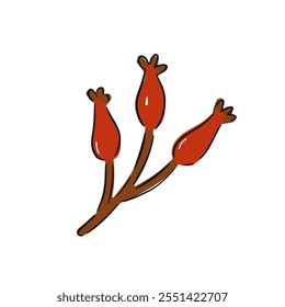 Hand drawn branch with bright red berries featuring three clusters on slender stems